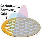 PELCO formvar on light carbon coated grids