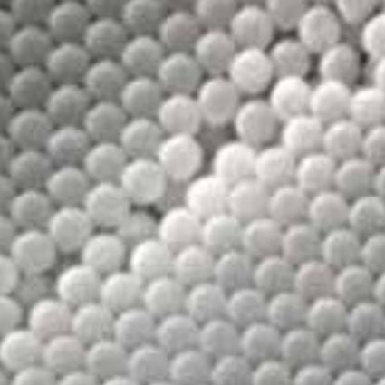 Carboxyl polystyrene particles, Carboxyl polystyrene particles