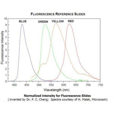 Fluorescence reference microscope slides