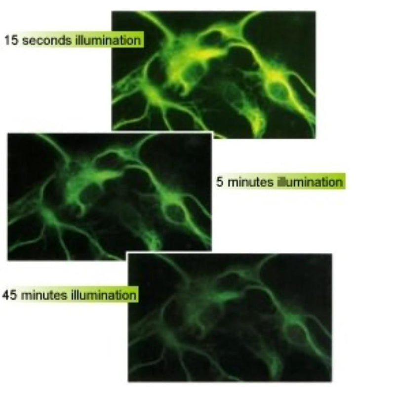 Citifluor antifadent, CFPVOH