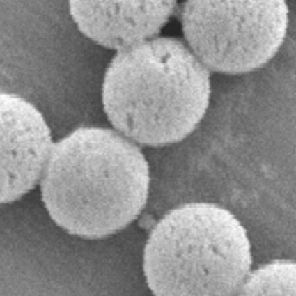 Crosslinked polystyrene microparticles