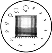 Scale reticles for measuring magnifiers, No.7