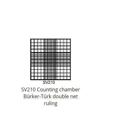 Burker counting chambers, double net ruling bright-lined