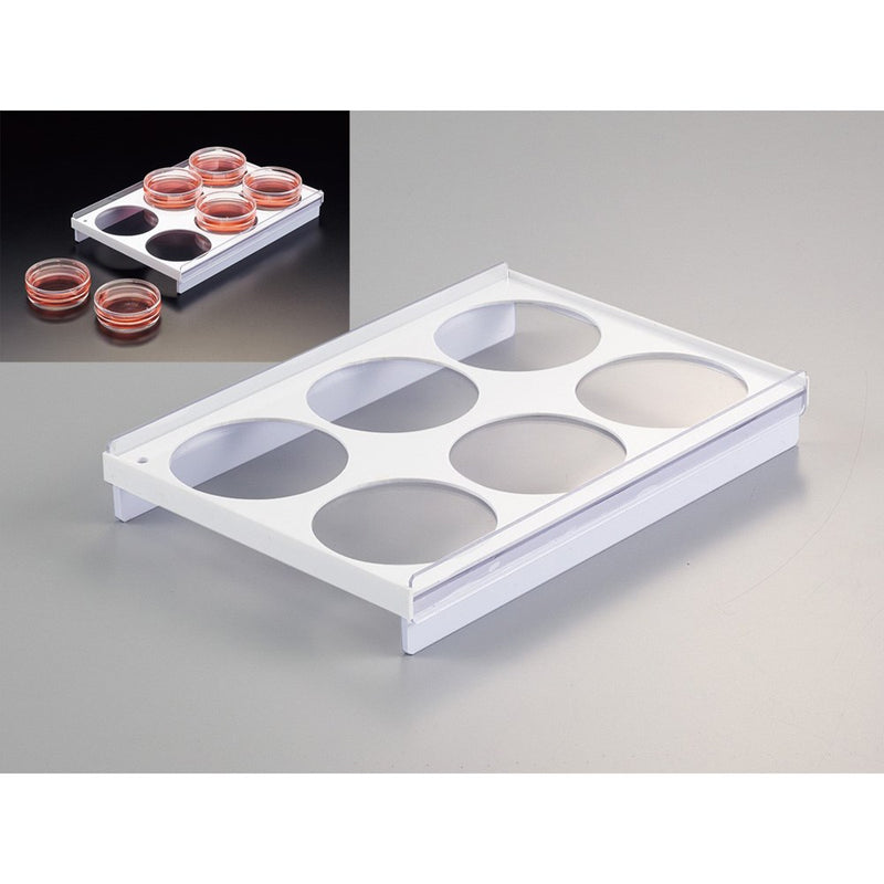 Six dish tray for 35mm dishes, PVC
