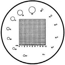 Scale reticles for measuring magnifiers, No.7